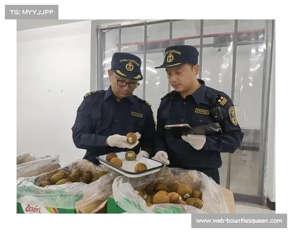 邢台设立自行车出口绿色通道 通关时效压缩至12小时